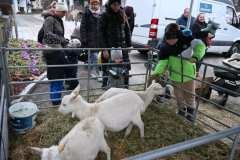 G-Poelvenzauber25_05