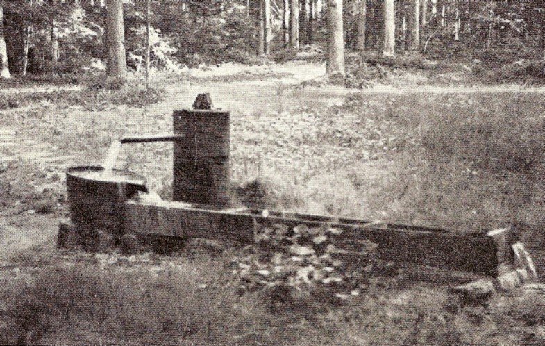 Heilquelle im Jahr 1955